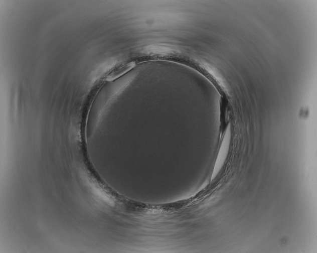 X0000091680399200709061109