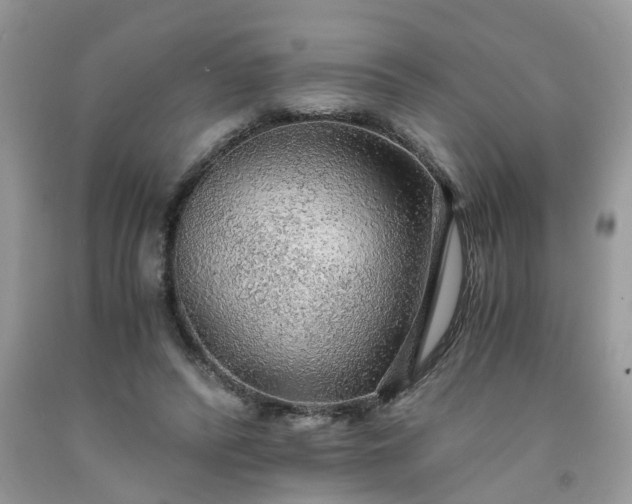 X0000091680400200709061109