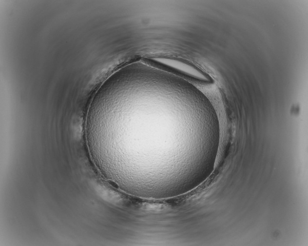 X0000091680401200709061108
