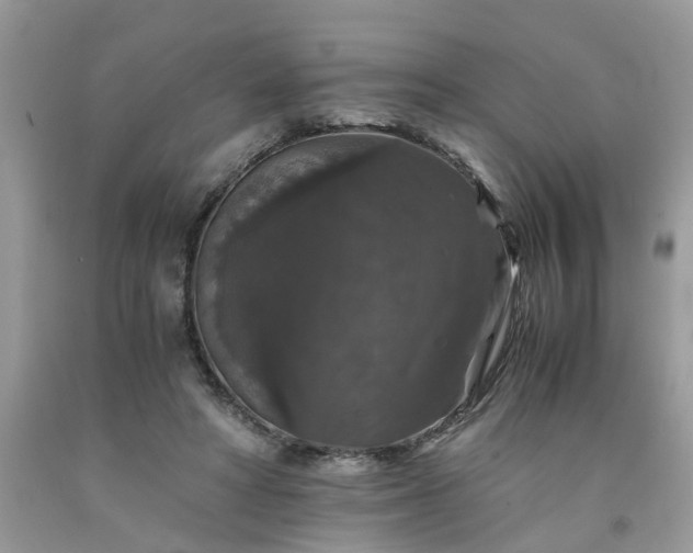X0000091680402200709061108