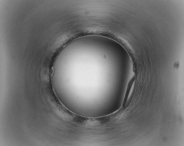 X0000091680403200709061108