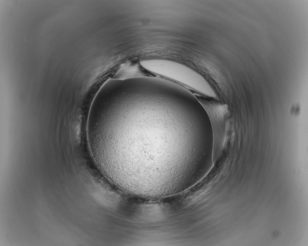 X0000091680404200709061108