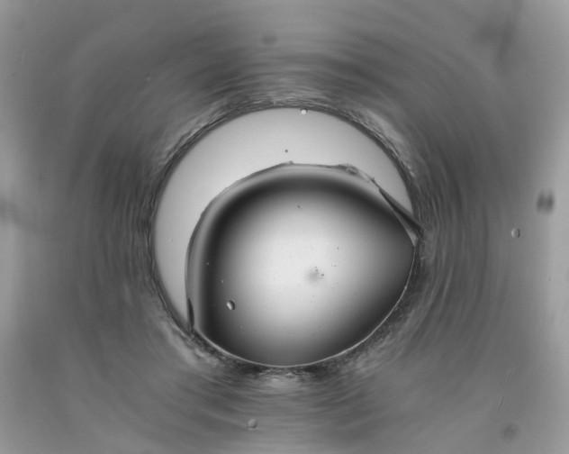 X0000091680405200709061108