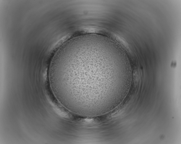 X0000091680406200709061108