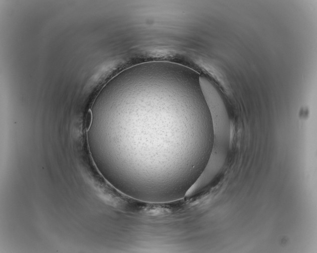 X0000091680407200709061108