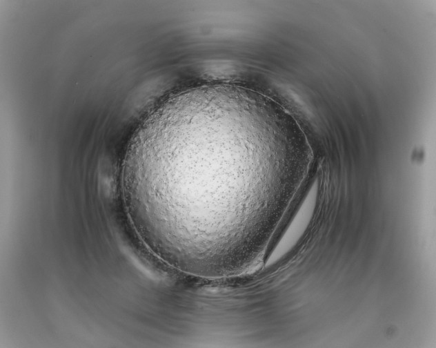 X0000091680408200709061108