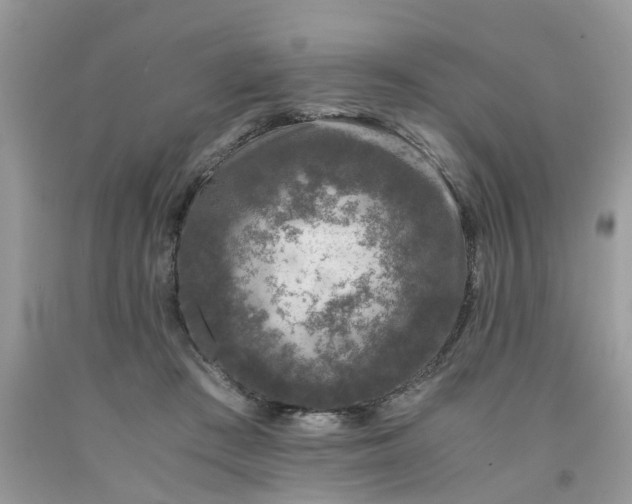 X0000091680409200709061108