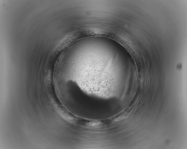 X0000091680410200709061108