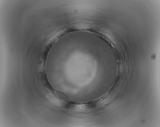 X0000091680411200709061108