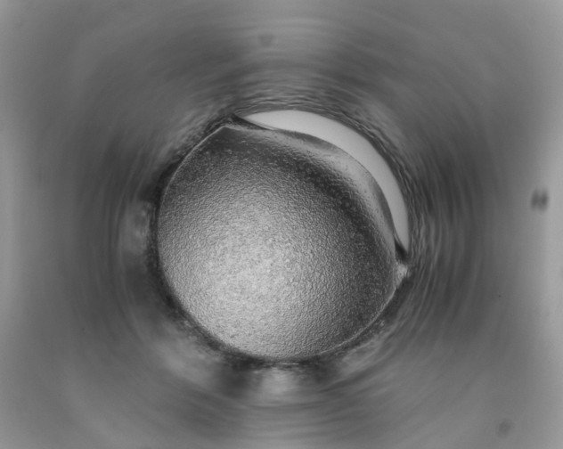 X0000091680412200709061108
