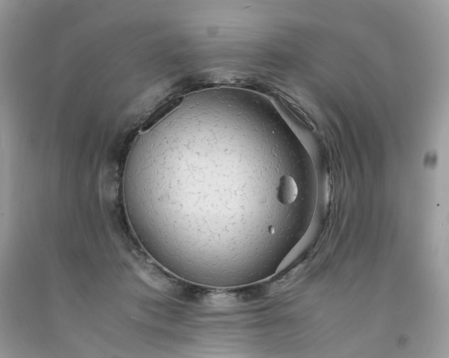 X0000091680413200709061108