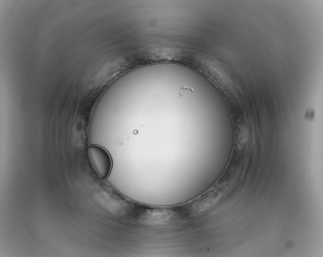 X0000091680414200709061108
