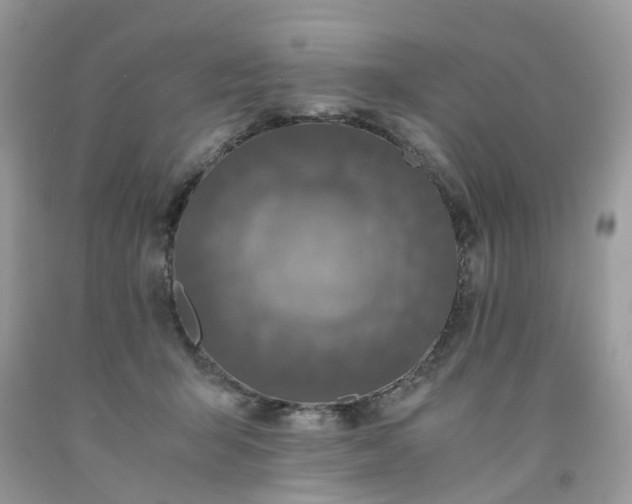 X0000091680415200709061108