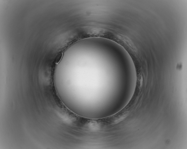 X0000091680416200709061108