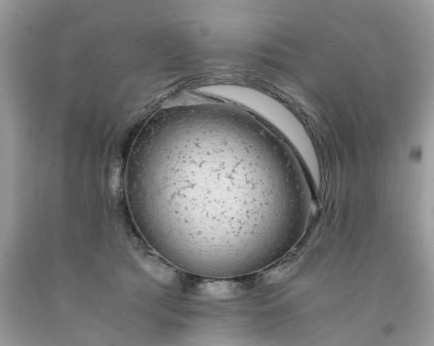 X0000091680417200709061108