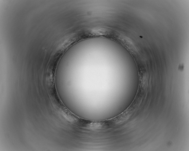 X0000091680418200709061108
