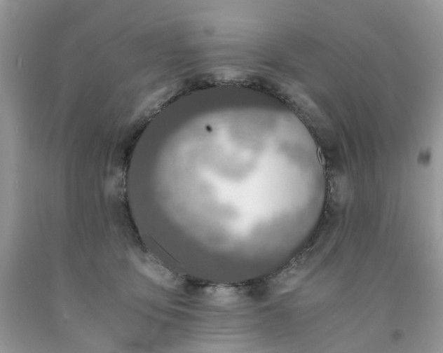 X0000091680419200709061108