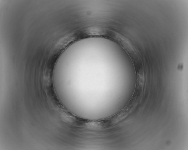 X0000091680422200709061108