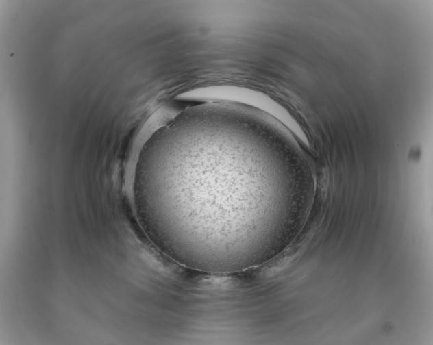 X0000091680428200709061108