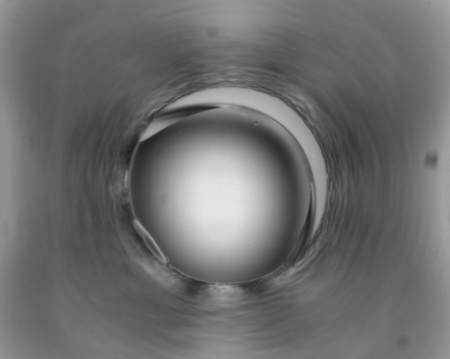 X0000091680429200709061108