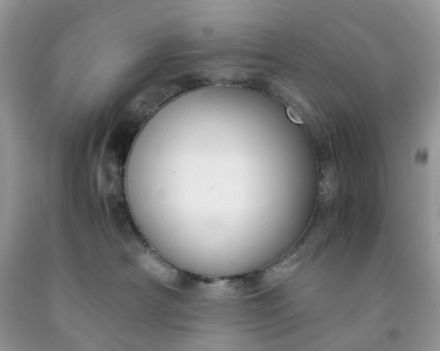 X0000091680430200709061108