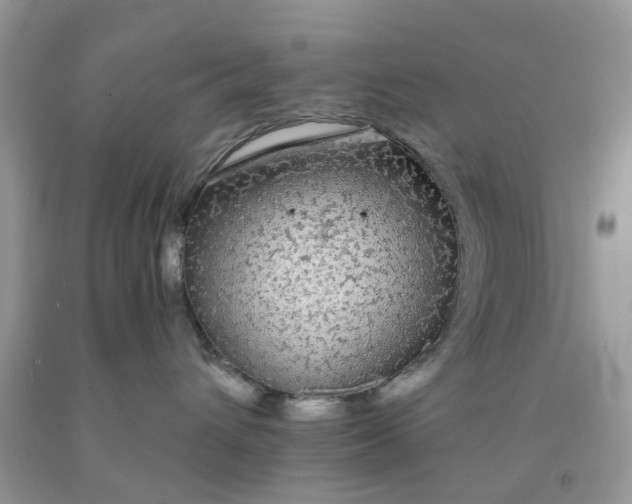X0000091680432200709061108