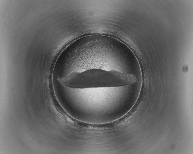 X0000091680434200709061107