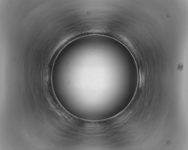 X0000091680435200709061107