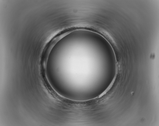 X0000091680436200709061107