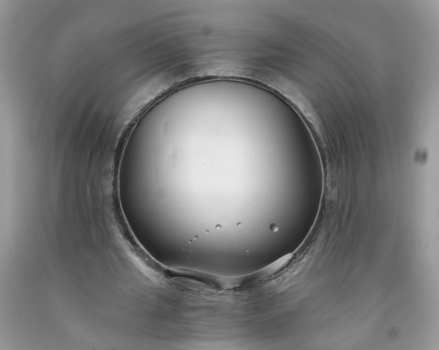 X0000091680437200709061107