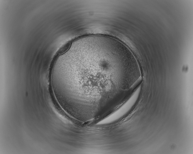 X0000091680438200709061107