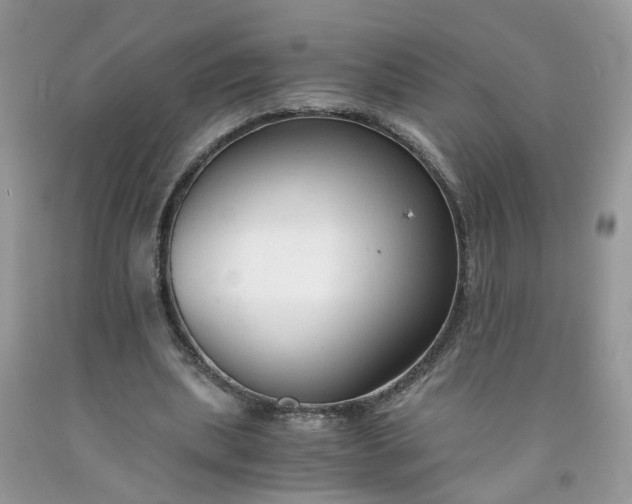 X0000091680439200709061107