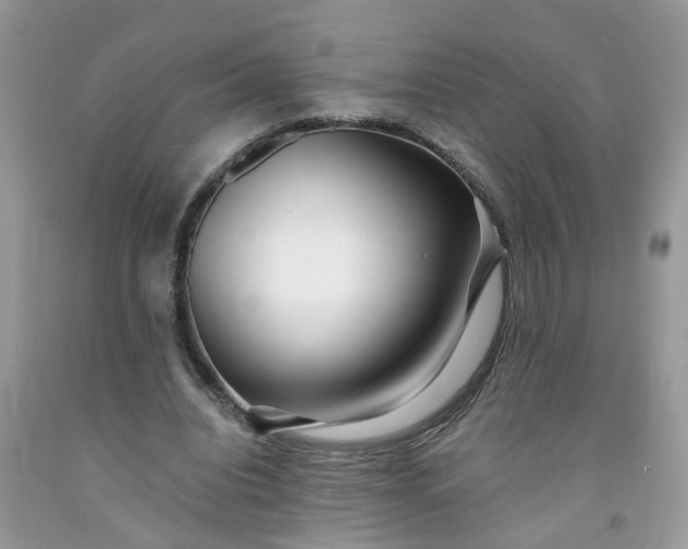 X0000091680440200709061107