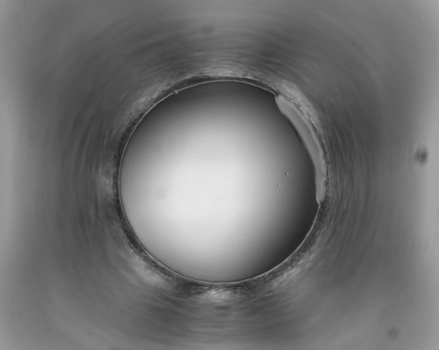 X0000091680441200709061107