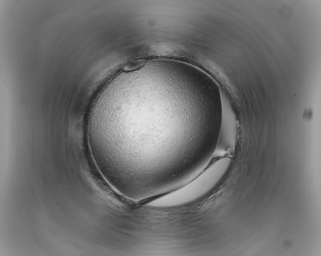 X0000091680442200709061107