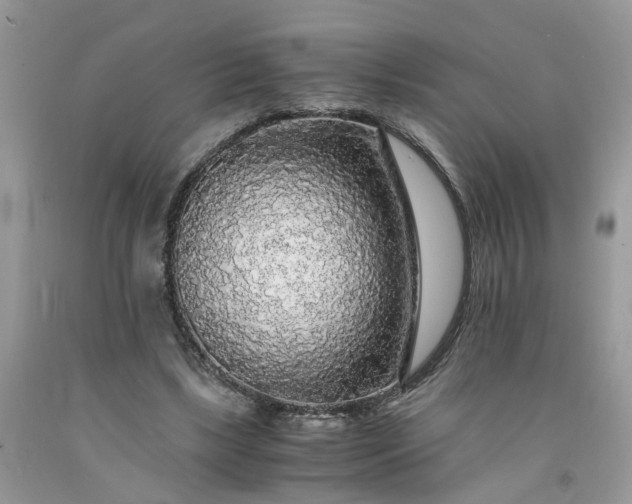 X0000091680443200709061107