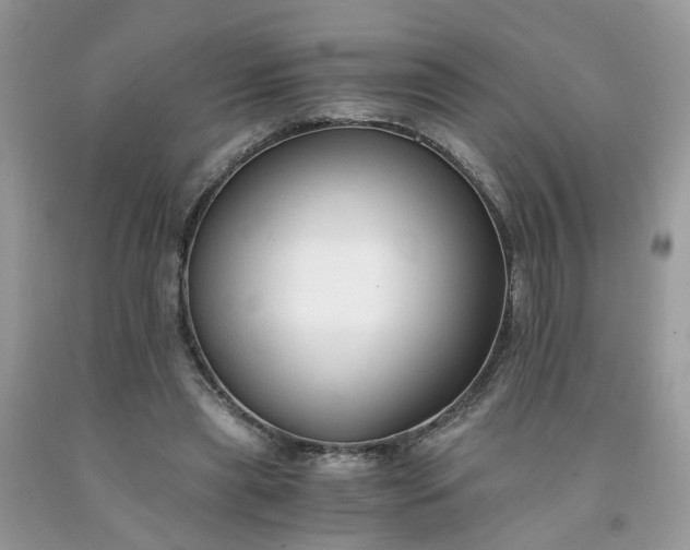 X0000091680445200709061107
