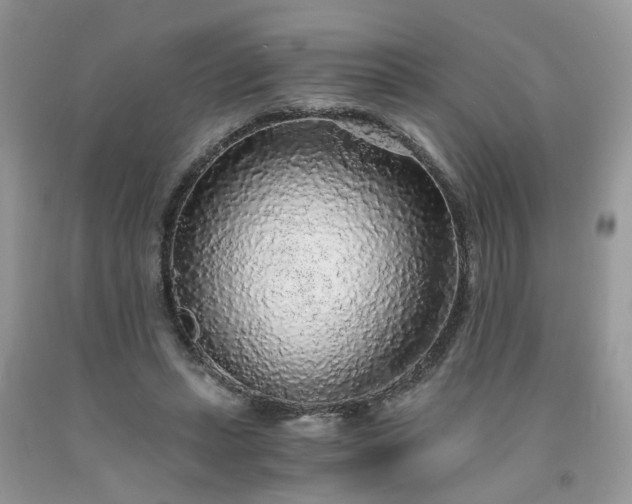 X0000091680447200709061108