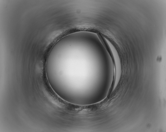 X0000091680448200709061108