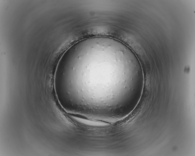 X0000091680449200709061108