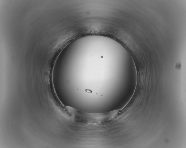 X0000091680450200709061108
