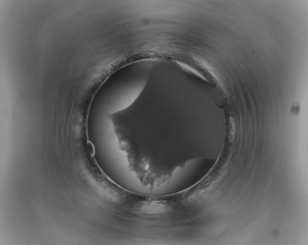 X0000091680451200709061108