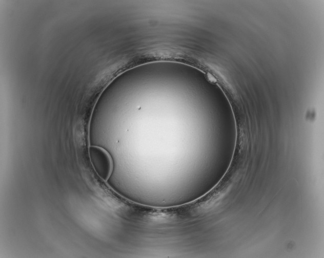 X0000091680453200709061108
