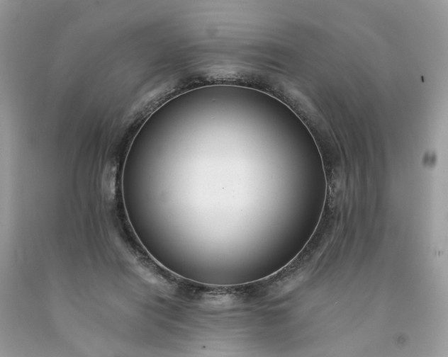X0000091680454200709061108