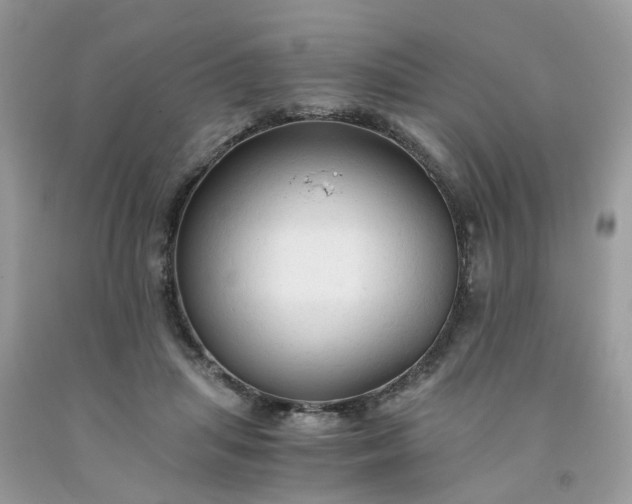 X0000091680455200709061108