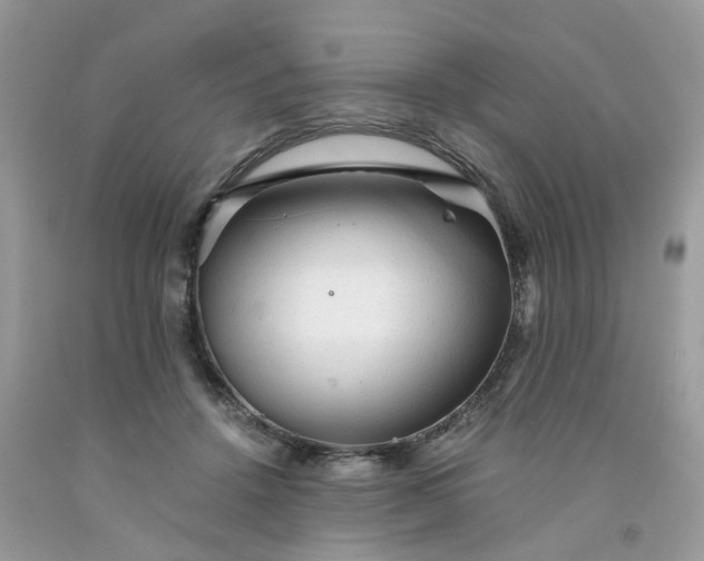 X0000091680456200709061108
