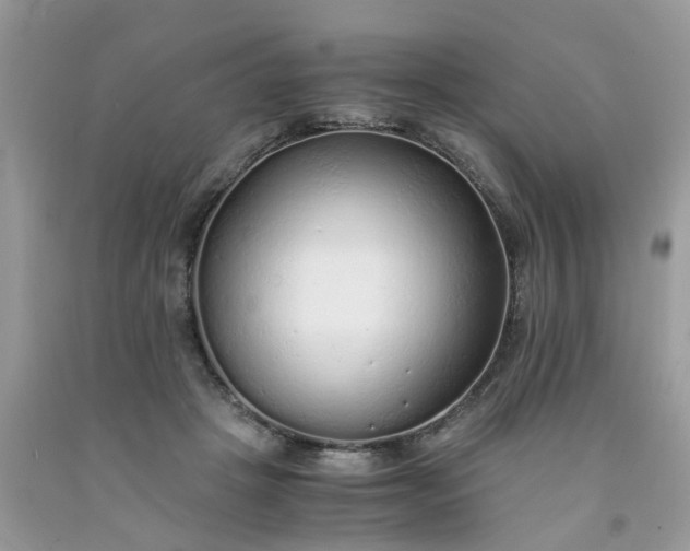 X0000091680457200709061108
