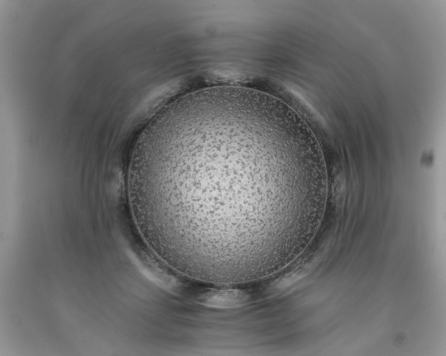 X0000091680459200709061108