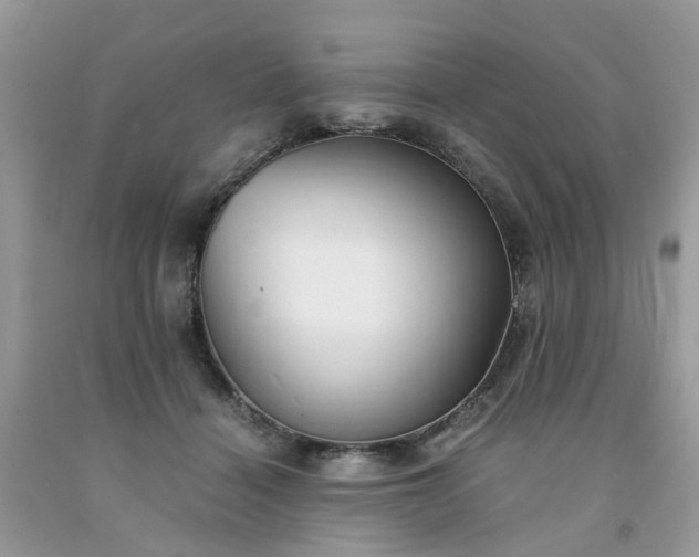 X0000091680460200709061108