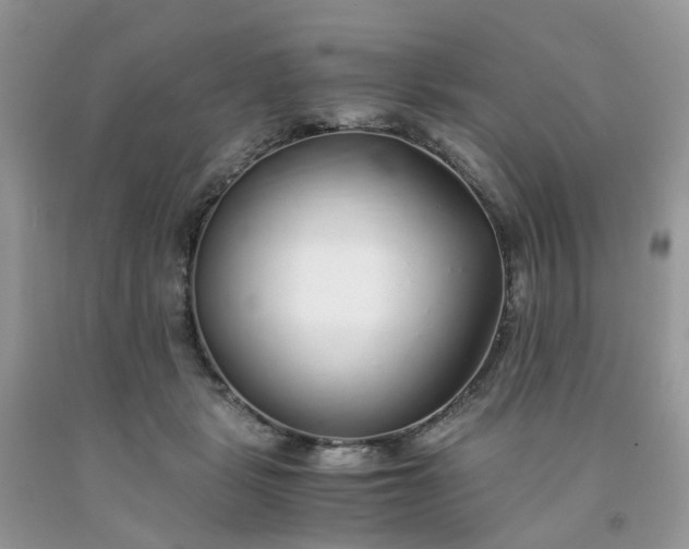 X0000091680461200709061108